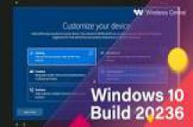 windows 10 upgrade tool (build v24074)